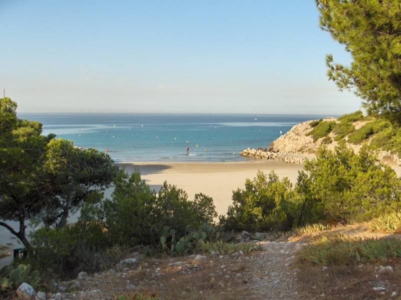 Comment faire traiter mes DASRI dans les Bouches du Rhône?